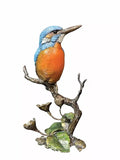 Kingfisher On Meadow Marsh Limited Edition Sculpture By Keith Sherwin From The Richard Cooper Studio