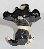 Little Paws Border Collie Trinket Box