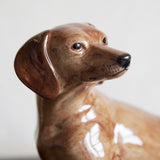Quail Ceramics: Money Box: Dachshund - Red