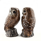Quail Ceramics Tawny Owls Salt And Pepper Pots