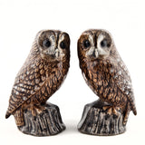 Quail Ceramics Tawny Owls Salt And Pepper Pots