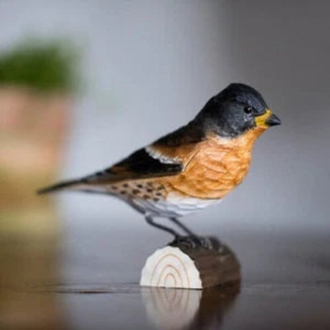 Carved Wooden Figure Of A Brambling By Wildlife Garden