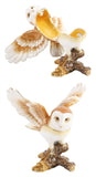 Juliana: Trinket Box: Treasured Trinkets; Barn Owl with Wings Spread