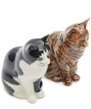 Quail Ceramics: Salt & Pepper Pots: Cats: "Barney + Clementine"