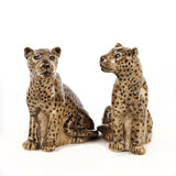 Quail Ceramics: Salt & Pepper Pots: Leopards