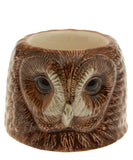 Quail Ceramics: Face Egg Cup: Tawny Owl